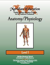 anatomycover-35